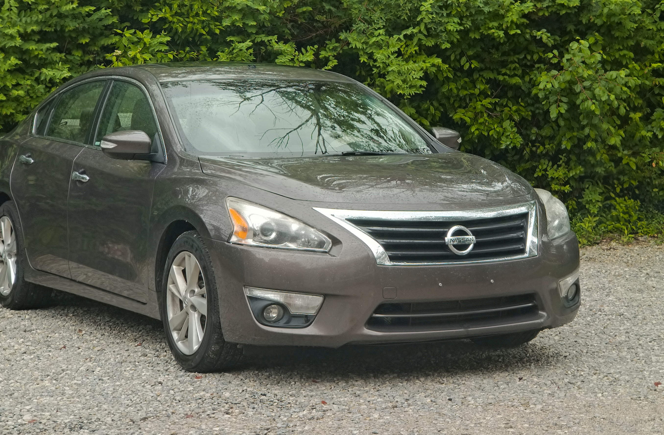 A picture of the front of a brown 2014 Nissan Altima, with a siren speaker just barely visible behind the lower passenger-side grill